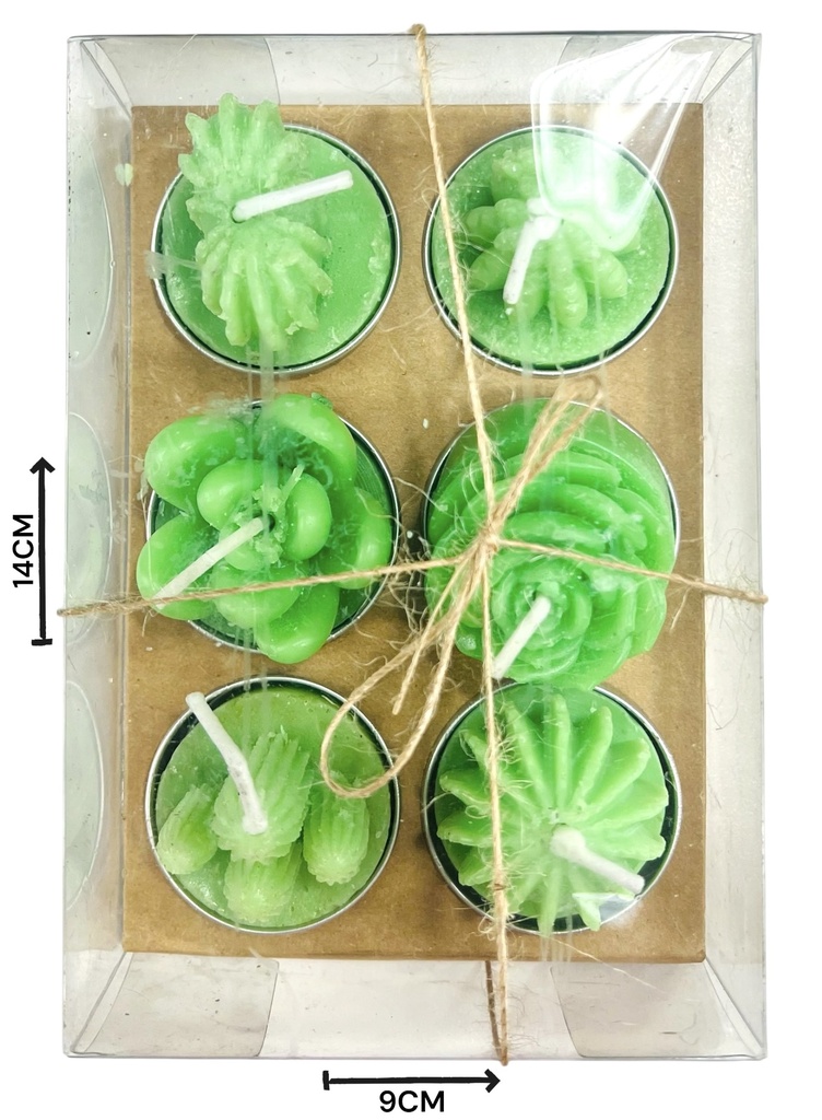 Vela Cactus Y Suculentas