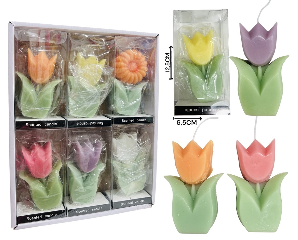 Vela Tulipan