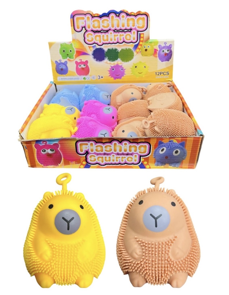 Yoyo Squishy Capibara Displayx12
